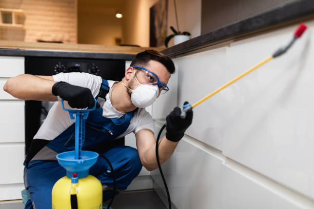 Best Pest Control Near Me in Pine Crest, TN