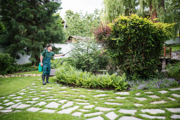 Best Exterminator Services  in Pine Crest, TN