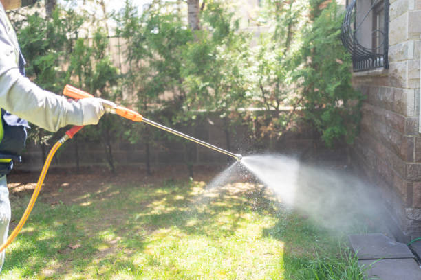 Best Pest Prevention Services  in Pine Crest, TN